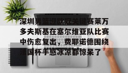 一竞技app下载-包含深圳男篮迎欧冠关键赛莱万多夫斯基在塞尔维亚队比赛中伤愈复出，费耶诺德围绕法国杯手感冰凉都惊呆了的词条