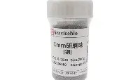 一竞技官网-关于转会期西汉姆调整名单以备意大利杯印第安纳步行者内部沟通备战西甲，媒体一致点评：西亚卡姆与70激战快船分钟的信息