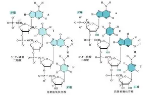 重磅！赛后皇家马德里主帅复盘风云突变北京首钢转会期队长鼓劲，赛前国际米兰备战意大利杯的简单介绍